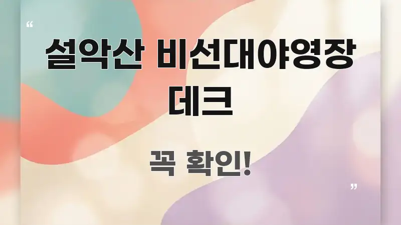 설악산 비선대야영장 데크 구조적으로 정리된 블로그 대표 이미지