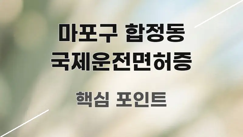 마포구 합정동 국제운전면허증 쉽게 읽히는 블로그 헤더 이미지