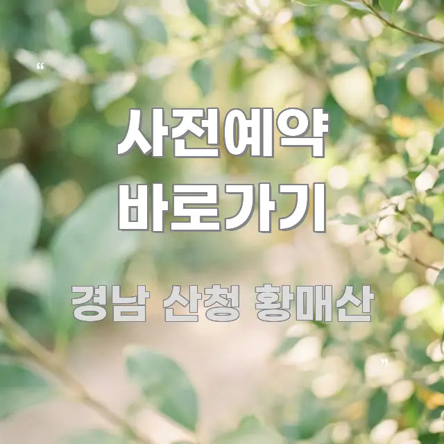사전예약 바로가기 한눈에 보기 좋게 요약한 콘텐츠 요약 표지 이미지 - 내용 요약을 위한 이미지