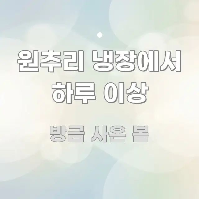 원추리 냉장에서 하루 이상 요점만 뽑아낸 스마트 정보 카드 - 설명을 돕는 이미지