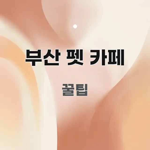 부산 펫 카페 핵심 내용을 정리한 글 소개 썸네일 이미지 - 본문 내용과 연관된 이미지