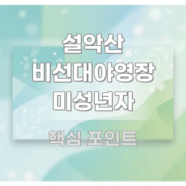 설악산 비선대야영장 미성년자 한눈에 보기 좋게 요약한 카드뉴스 스타일 이미지