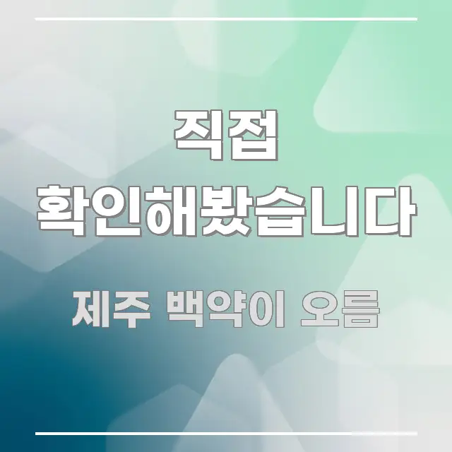 직접 확인해봤습니다 핵심 키워드 중심의 가독성 높은 정보 이미지 - 가독성을 높이는 이미지
