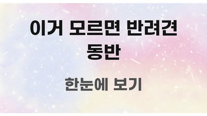 이거 모르면 반려견 동반 심플하고 명확하게 정리한 텍스트 기반 블로그 이미지 - 독자 이해를 위한 이미지
