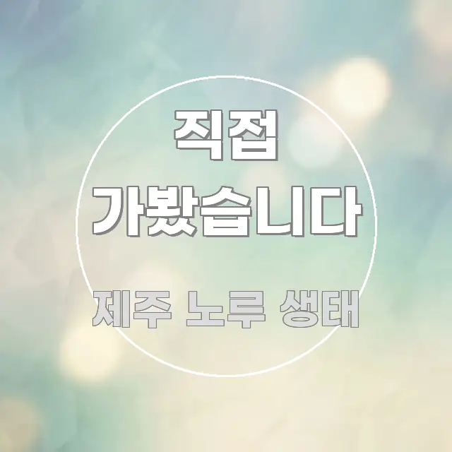 직접 가봤습니다 직관적으로 이해되는 정보 전달형 표지 이미지 - 글 흐름을 돕는 시각 자료