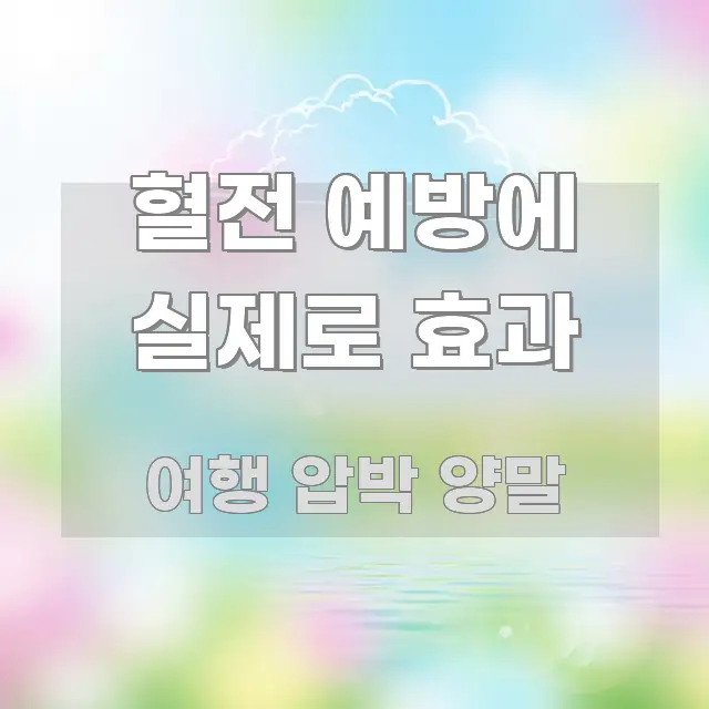 혈전 예방에 실제로 효과 핵심 요약 혈전 예방에 실제로 효과 핵심 정보 중심의 정보 정리 카드 이미지
