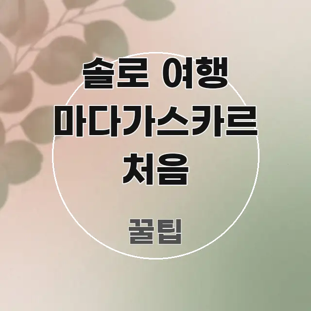 솔로 여행 마다가스카르 처음 쉽게 읽히는 포스트 대표 비주얼 이미지 - 설명을 돕는 이미지