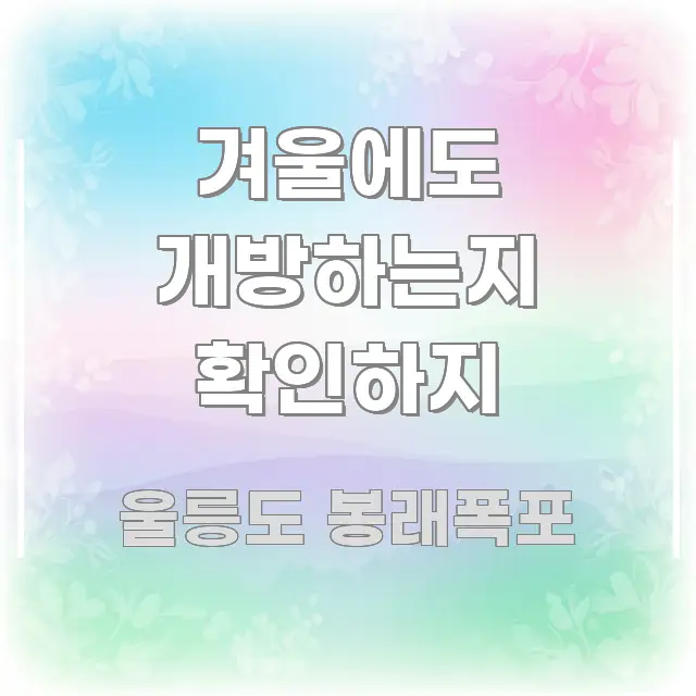 겨울에도 개방하는지 확인하지 핵심만 담은 블로그 섹션 구분 이미지 - 활용 예시 이미지
