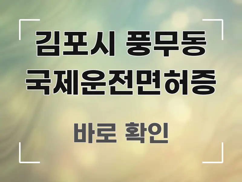 김포시 풍무동 국제운전면허증 핵심 정보를 압축한 핵심 요약 디자인 카드 - 가독성을 높이는 이미지