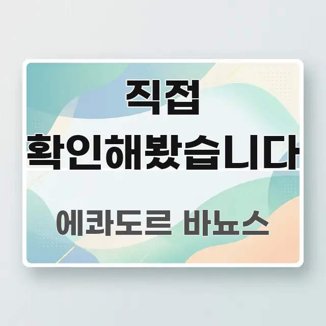 직접 확인해봤습니다 깔끔하게 정리된 스마트 정보 카드