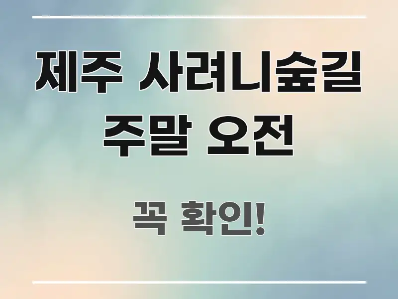 제주 사려니숲길 주말 오전 핵심 키워드 중심의 핵심 요약 디자인 카드 - 글 흐름을 돕는 시각 자료