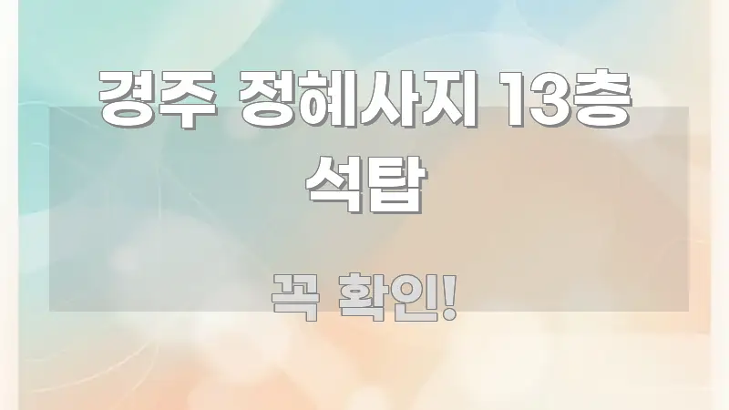 경주 정혜사지 13층 석탑 꼭 필요한 정보만 담은 핵심 정보 비주얼 - 독자 이해를 위한 이미지