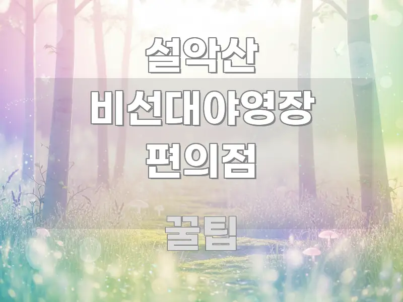 설악산 비선대야영장 편의점 실생활에 도움되는 정보 요약 인포그래픽 이미지
