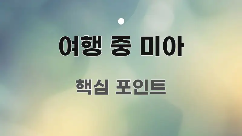 여행 중 미아 중요 내용만 뽑은 읽기 좋은 정보 카드 - 독자 이해를 위한 이미지