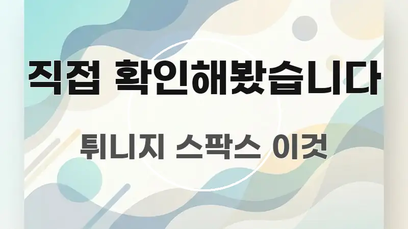 직접 확인해봤습니다 구조적으로 정리된 블로그 헤더 이미지 - 가독성을 높이는 이미지
