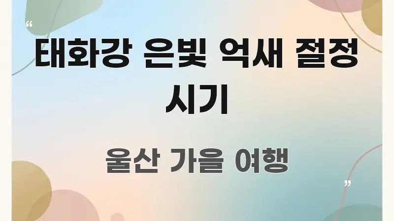 태화강 은빛 억새 절정 시기 알기 쉽게 정리한 미니멀 블로그 썸네일