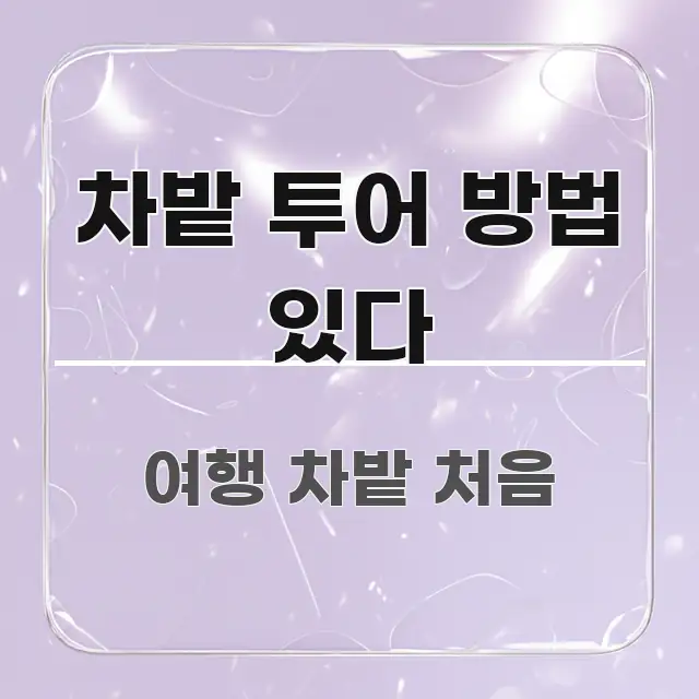 차밭 투어 방법 있다 심플하고 명확하게 정리한 정보 요약 인포그래픽 이미지