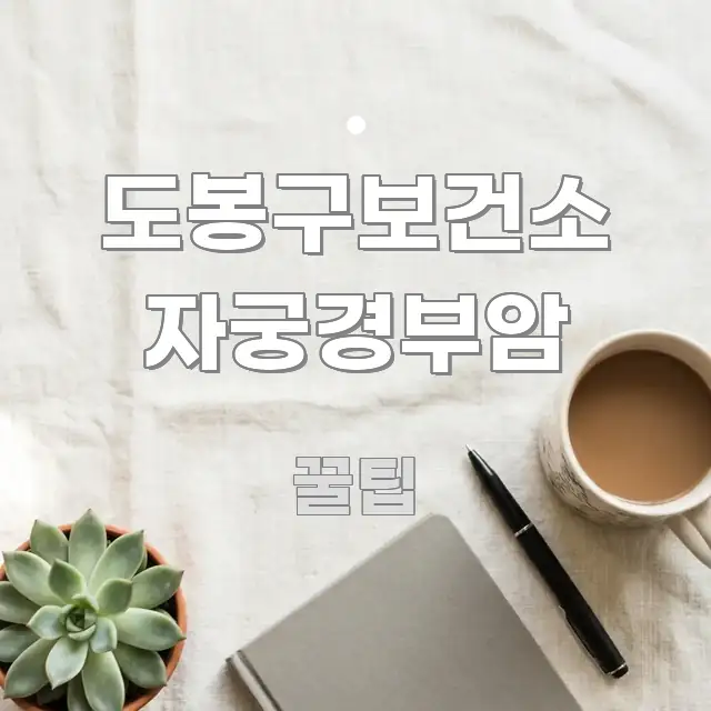 도봉구보건소 자궁경부암 꼭 필요한 정보만 담은 스마트 정보 카드 - 내용 요약을 위한 이미지