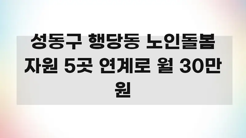 성동구 행당동 노인돌봄 자원 5곳 연계로 월 30만 원 알기 쉽게 정리한 정보 카드 디자인 이미지 - 설명을 돕는 이미지