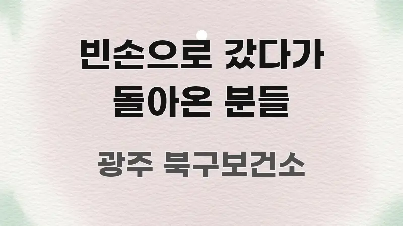 빈손으로 갔다가 돌아온 분들 독자를 위해 선별한 정보 요약 포스터 - 설명을 돕는 이미지