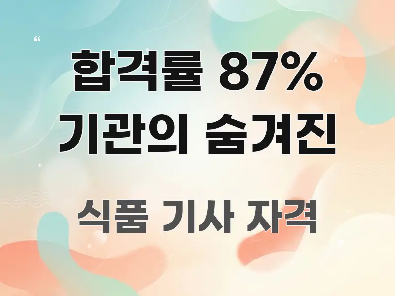 합격률 87% 기관의 숨겨진 실용적으로 정리한 정보 전달형 표지 이미지