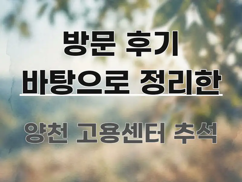 방문 후기 바탕으로 정리한 가독성 높게 정리한 블로그 섹션 구분 이미지 - 설명을 돕는 이미지