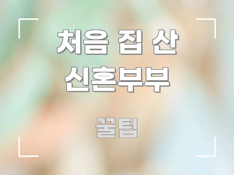 처음 집 산 신혼부부 빠르게 이해할 수 있는 블로그 헤더 이미지 - 내용 요약을 위한 이미지