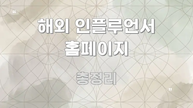해외 인플루언서 홈페이지 핵심 요점 중심의 정보 요약 포스터 - 가독성을 높이는 이미지