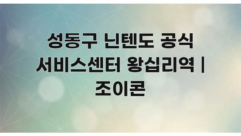 성동구 닌텐도 공식 서비스센터 왕십리역 | 조이콘 명확하게 정리된 가독성 높은 정보 이미지 - 활용 예시 이미지