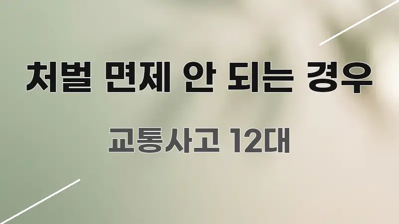 처벌 면제 안 되는 경우 핵심 키워드 중심의 정보 전달형 표지 이미지 - 설명을 돕는 이미지