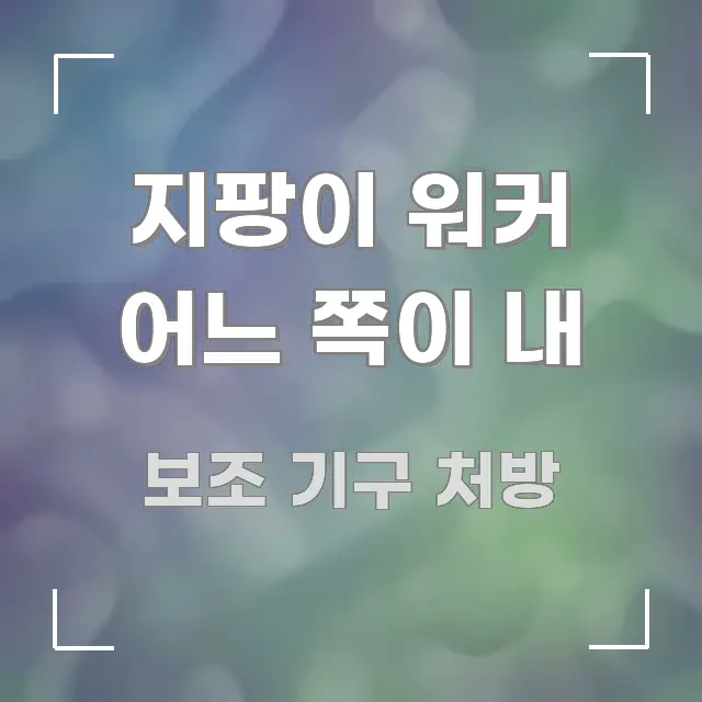 지팡이 워커 어느 쪽이 내 한눈에 들어오는 핵심 정리 썸네일 이미지 - 참고용 이미지