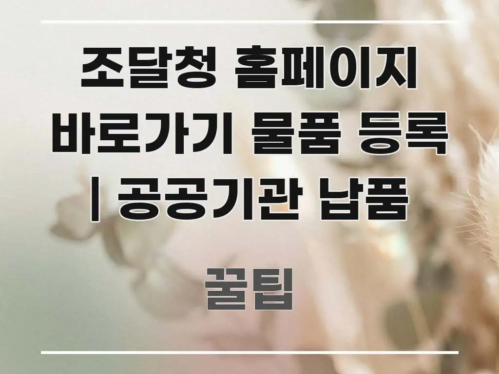 조달청 홈페이지 바로가기 물품 등록 | 공공기관 납품 쉽게 따라할 수 있는 텍스트 기반 블로그 이미지 - 내용 요약을 위한 이미지