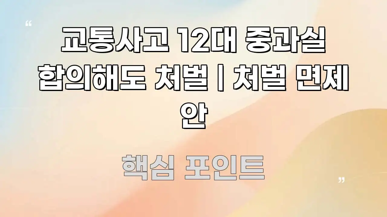 교통사고 12대 중과실 합의해도 처벌 | 처벌 면제 안 핵심 정보 중심의 정보 정리 카드 이미지 - 독자 이해를 위한 이미지