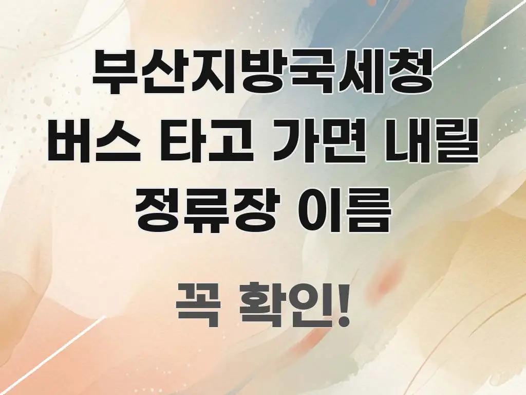 부산지방국세청 버스 타고 가면 내릴 정류장 이름 꼭 필요한 정보만 담은 정보 정리 카드 이미지 - 가독성을 높이는 이미지