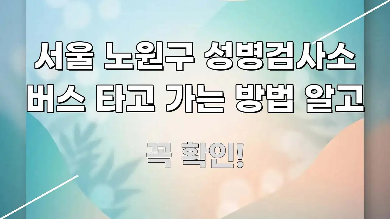 서울 노원구 성병검사소 버스 타고 가는 방법 알고 요점만 뽑아낸 스마트 정보 카드 - 가독성을 높이는 이미지