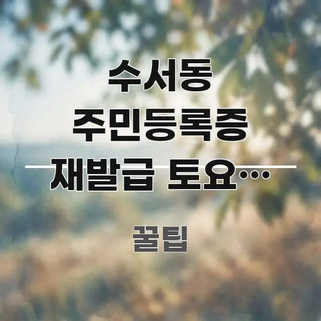수서동 주민등록증 재발급 토요일 신청 가능한지 | 신뢰할 수 있는 정보를 담은 텍스트 포스터 이미지 - 독자 이해를 위한 이미지