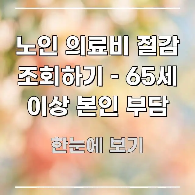노인 의료비 절감 조회하기 – 65세 이상 본인 부담 실생활에 도움되는 타이포그래피 블로그 표지 - 글 흐름을 돕는 시각 자료