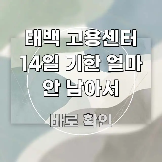 태백 고용센터 14일 기한 얼마 안 남아서 깔끔하게 정리된 정보 정리 카드 이미지 - 본문 내용과 연관된 이미지