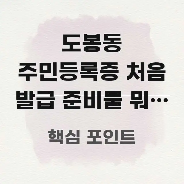도봉동 주민등록증 처음 발급 준비물 뭐가 필요한지 | 실생활에 도움되는 텍스트 중심 디자인 표지 - 독자 이해를 위한 이미지