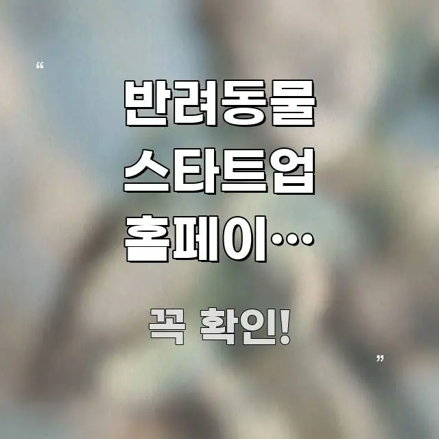 반려동물 스타트업 홈페이지 바로가기 | 공식 주소 이거 한눈에 보기 좋게 요약한 텍스트 포스터 이미지