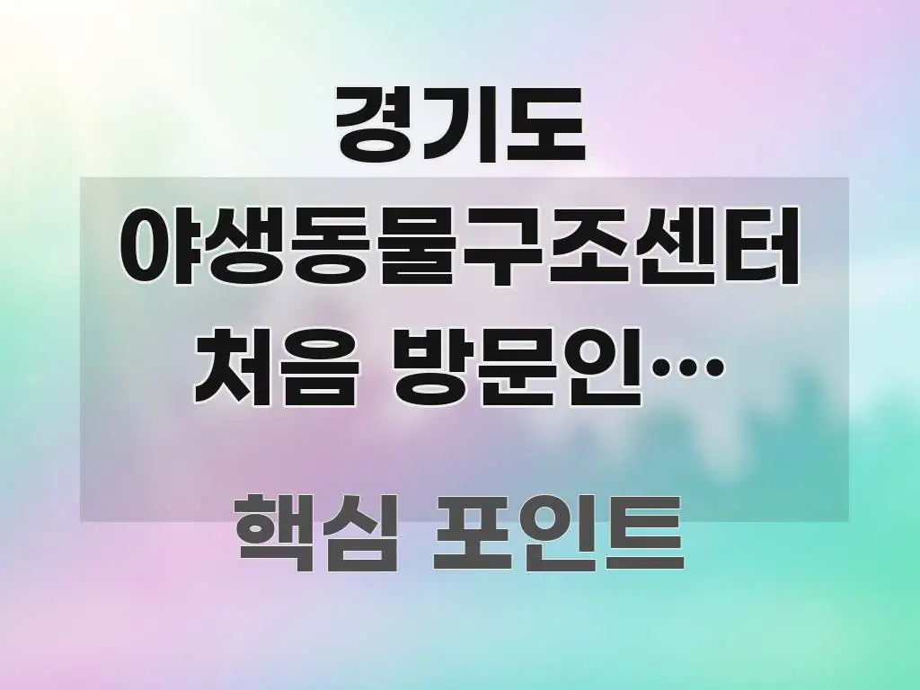 경기도 야생동물구조센터 처음 방문인데 교통편 3가지, 요점만 뽑아낸 정보 전달형 표지 이미지 - 글 흐름을 돕는 시각 자료