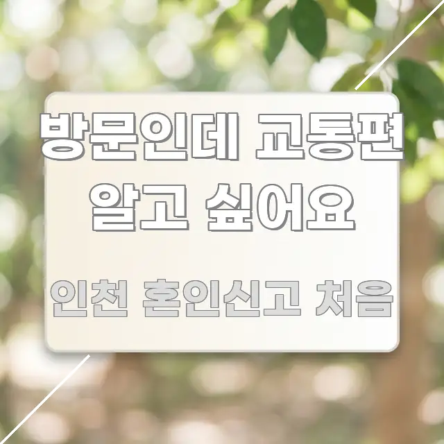 방문인데 교통편 알고 싶어요 알기 쉽게 정리한 카드뉴스 스타일 이미지 - 독자 이해를 위한 이미지