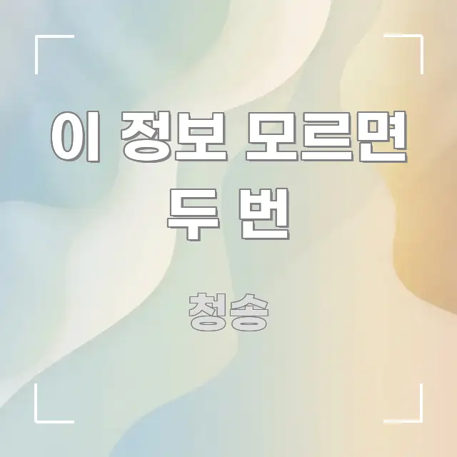 이 정보 모르면 두 번 스마트하게 정리된 카드뉴스 스타일 이미지 - 참고용 이미지