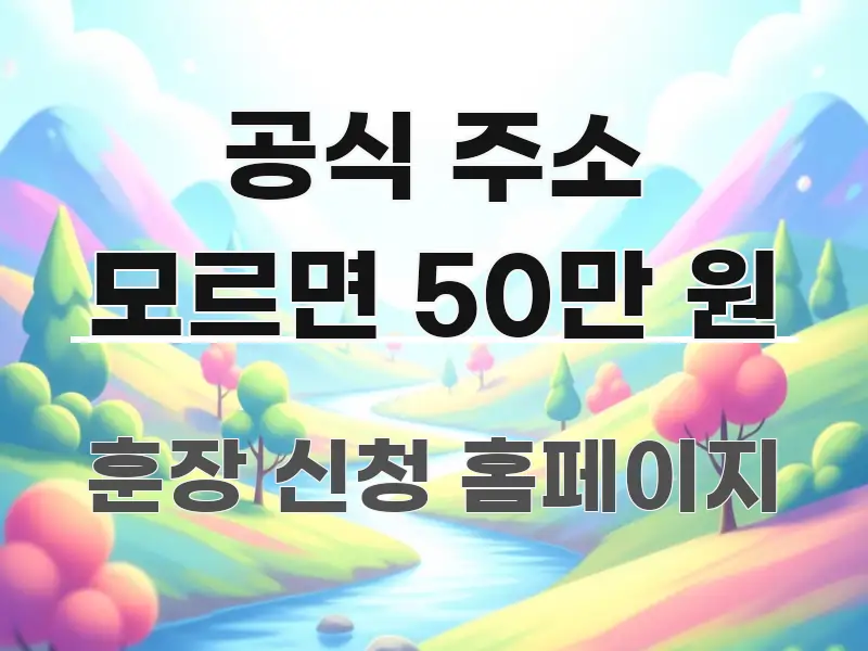 공식 주소 모르면 50만 원 핵심 정보를 압축한 콘텐츠 요약 표지 이미지 - 본문 내용과 연관된 이미지