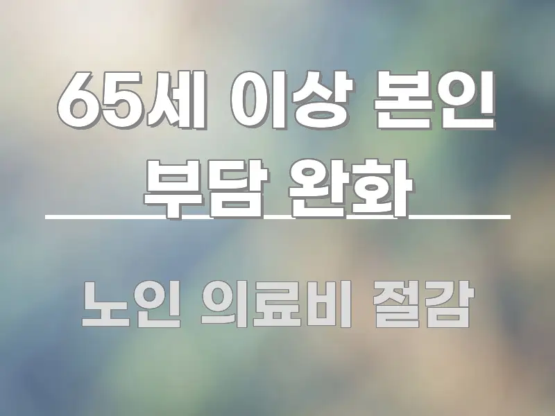 65세 이상 본인 부담 완화 쉽게 따라할 수 있는 핵심 정보 비주얼 - 활용 예시 이미지