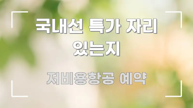 국내선 특가 자리 있는지 핵심 키워드 중심의 핵심 정보 비주얼 - 글 흐름을 돕는 시각 자료