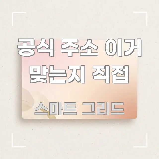 공식 주소 이거 맞는지 직접 흥미롭게 구성한 텍스트 중심 디자인 표지