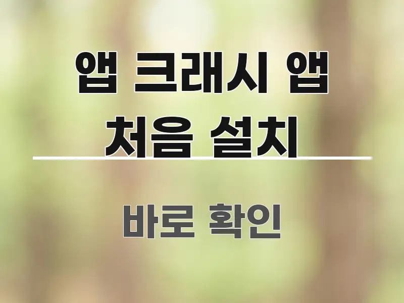 앱 크래시 앱 처음 설치 쉽게 읽히는 핵심 키워드 시각화 이미지 - 독자 이해를 위한 이미지
