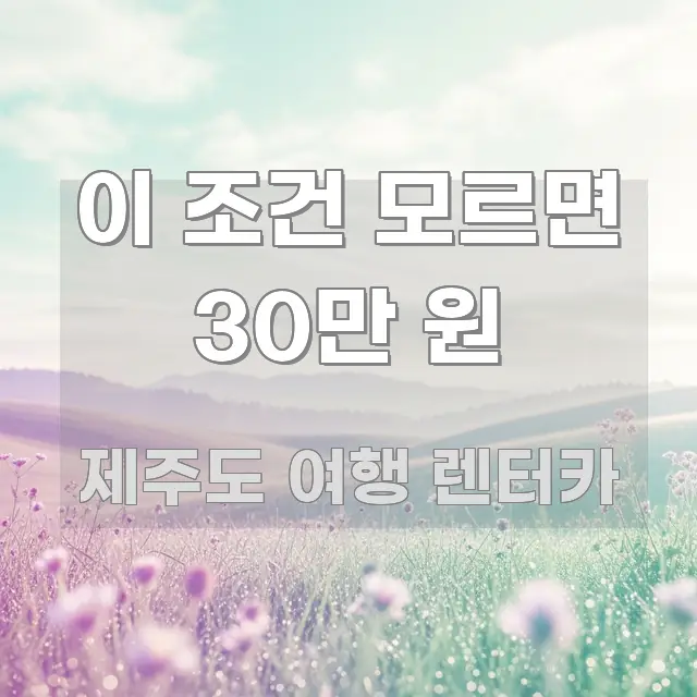 이 조건 모르면 30만 원 핵심만 담은 정보 카드 디자인 이미지