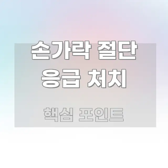 손가락 절단 응급 처치 알기 쉽게 정리한 글 소개 썸네일 이미지 - 본문 내용과 연관된 이미지